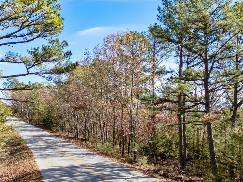 Property Photo: Lots 161 & 162 Tanglewood Road AR 72756