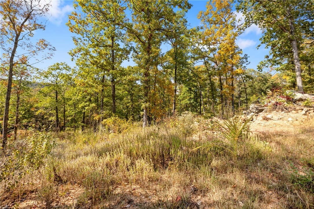 Property Photo:  Lot 67 Restore Ridge  AR 72601 