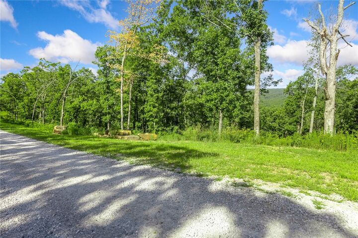 Property Photo: Lot 67 Restore Ridge AR 72601