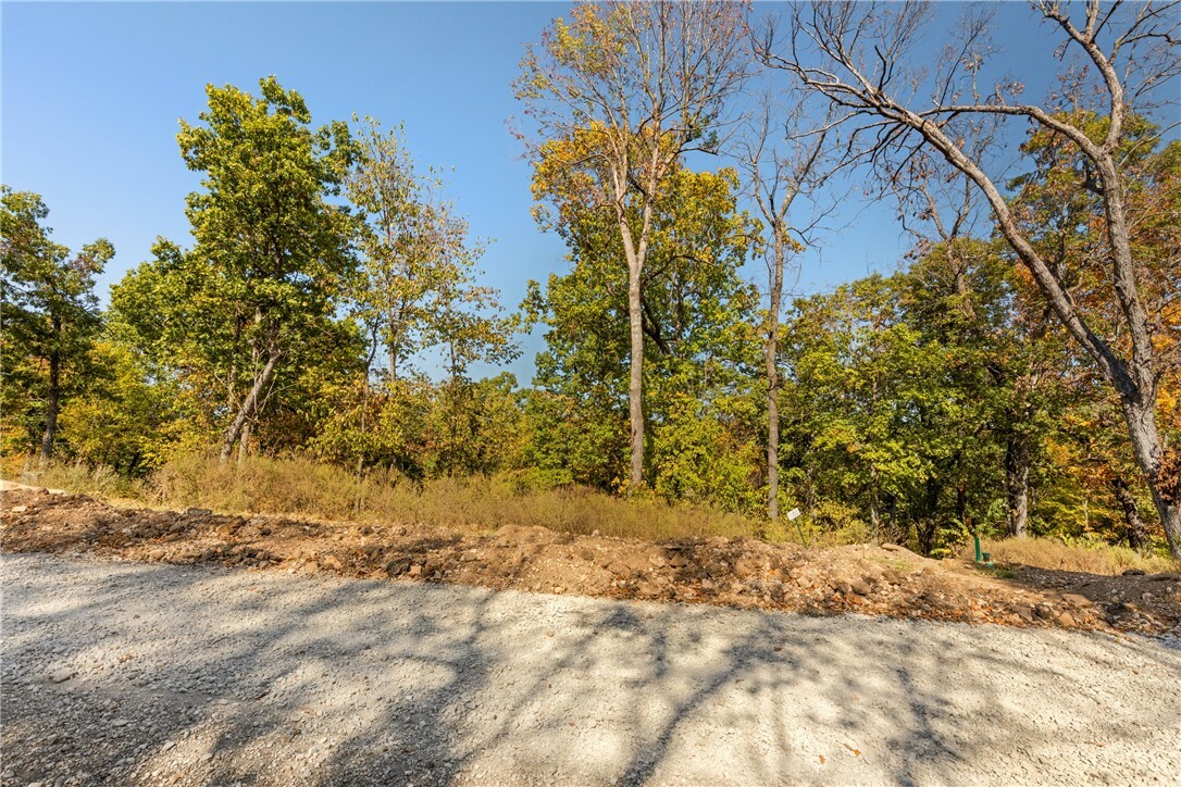 Property Photo:  Lot 91 Restore Circle  AR 72601 