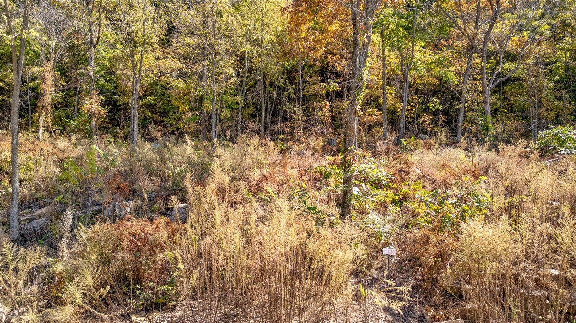 Property Photo:  Lot 110 Significance Summit  AR 72601 