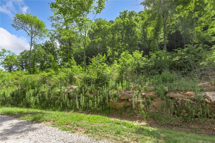 Property Photo: Lot 110 Significance Summit AR 72601