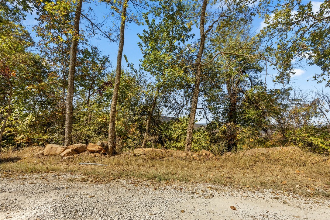 Property Photo:  Lot 112 Peaceful Place  AR 72601 