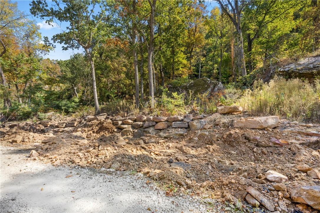 Property Photo:  Lot 116 Significance Summit  AR 72601 