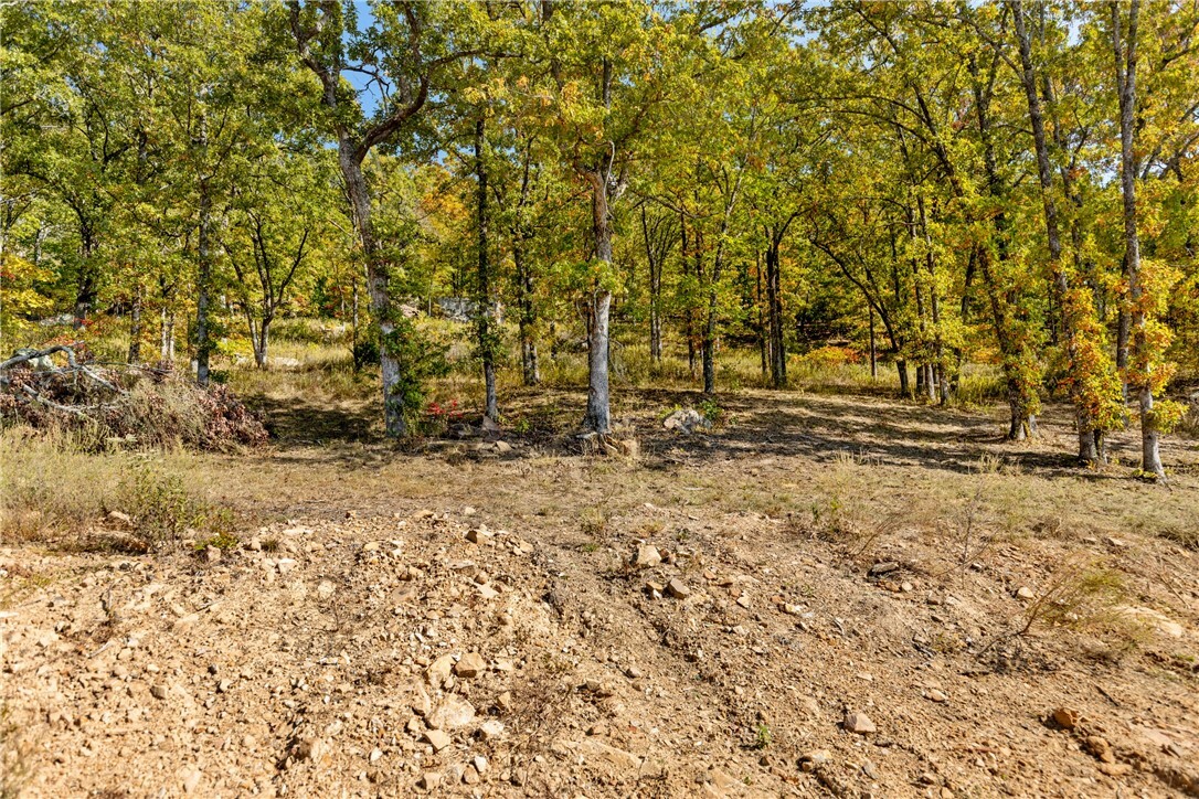 Property Photo:  Lot 62 Restore Ridge  AR 72601 