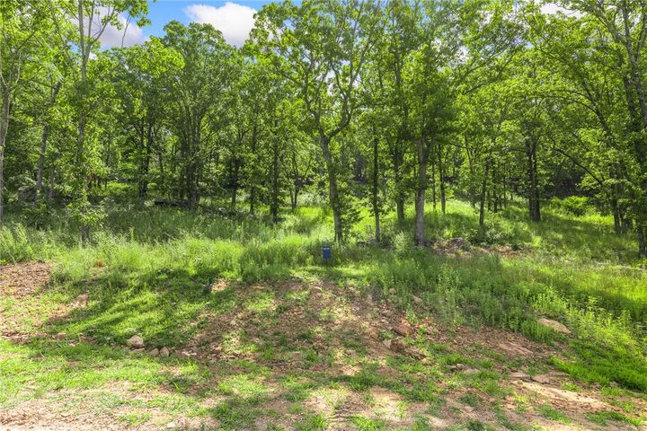 Property Photo: Lot 62 Restore Ridge AR 72601