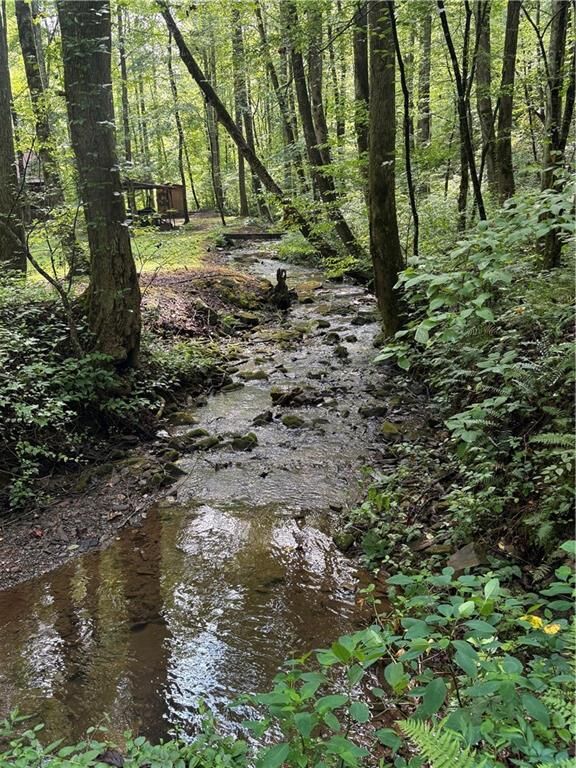 Property Photo:  650 Mulberry Trail  GA 30540