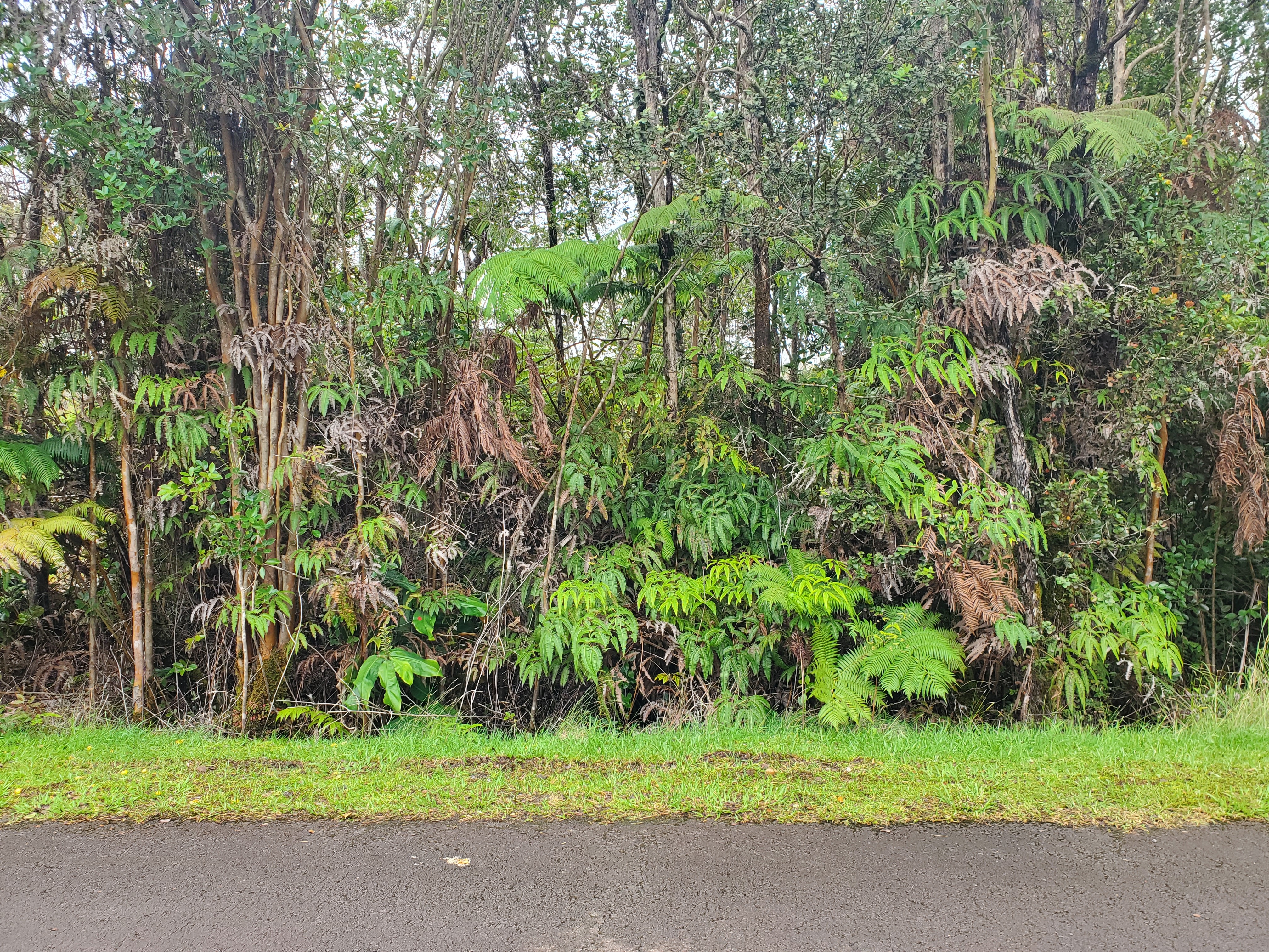 Property Photo:  Mokuna St  HI 96785 