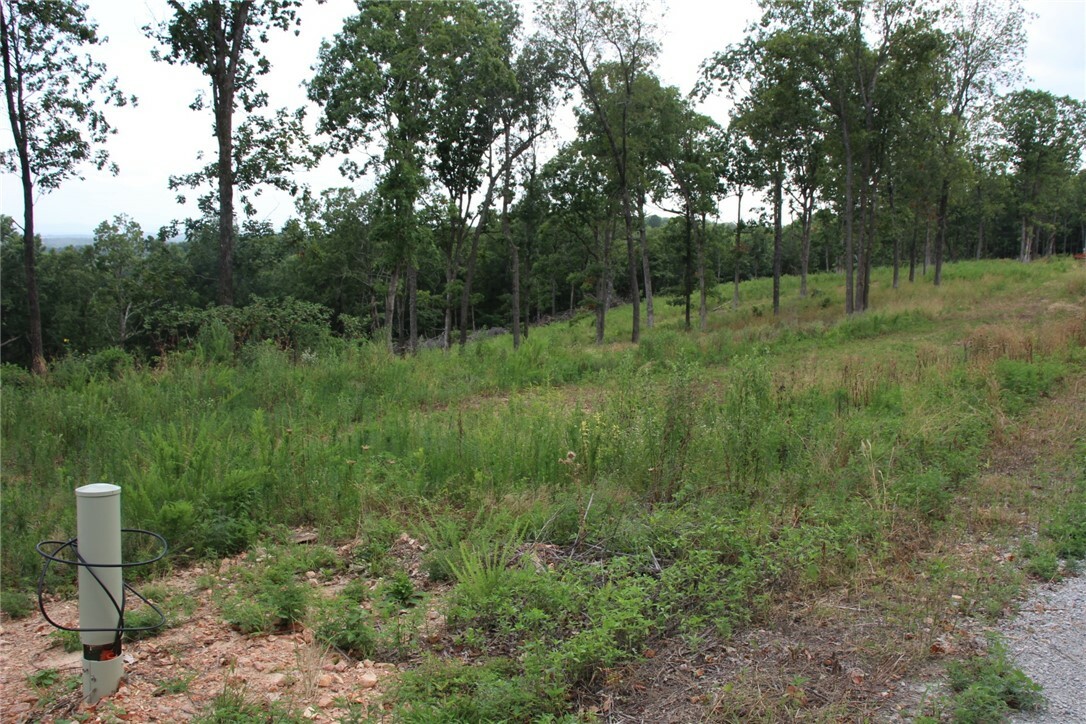 Property Photo:  Tracts 4-7 Mc 5039  AR 72682 