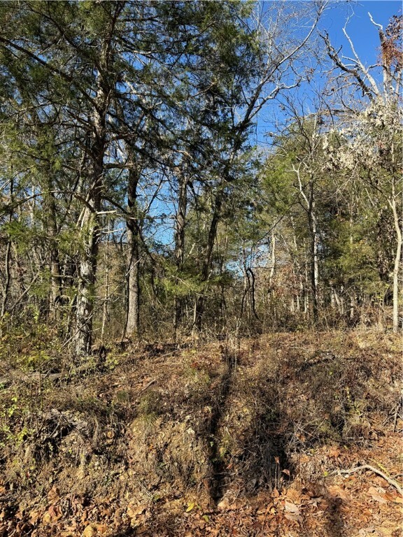 Property Photo:  Lots 210, 211 Arabian Drive  AR 72756 