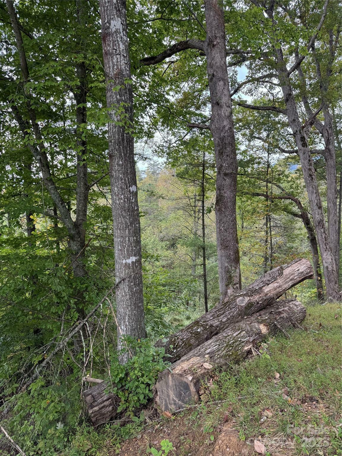 Property Photo: 9999 Tree Top Lane NC 28753
