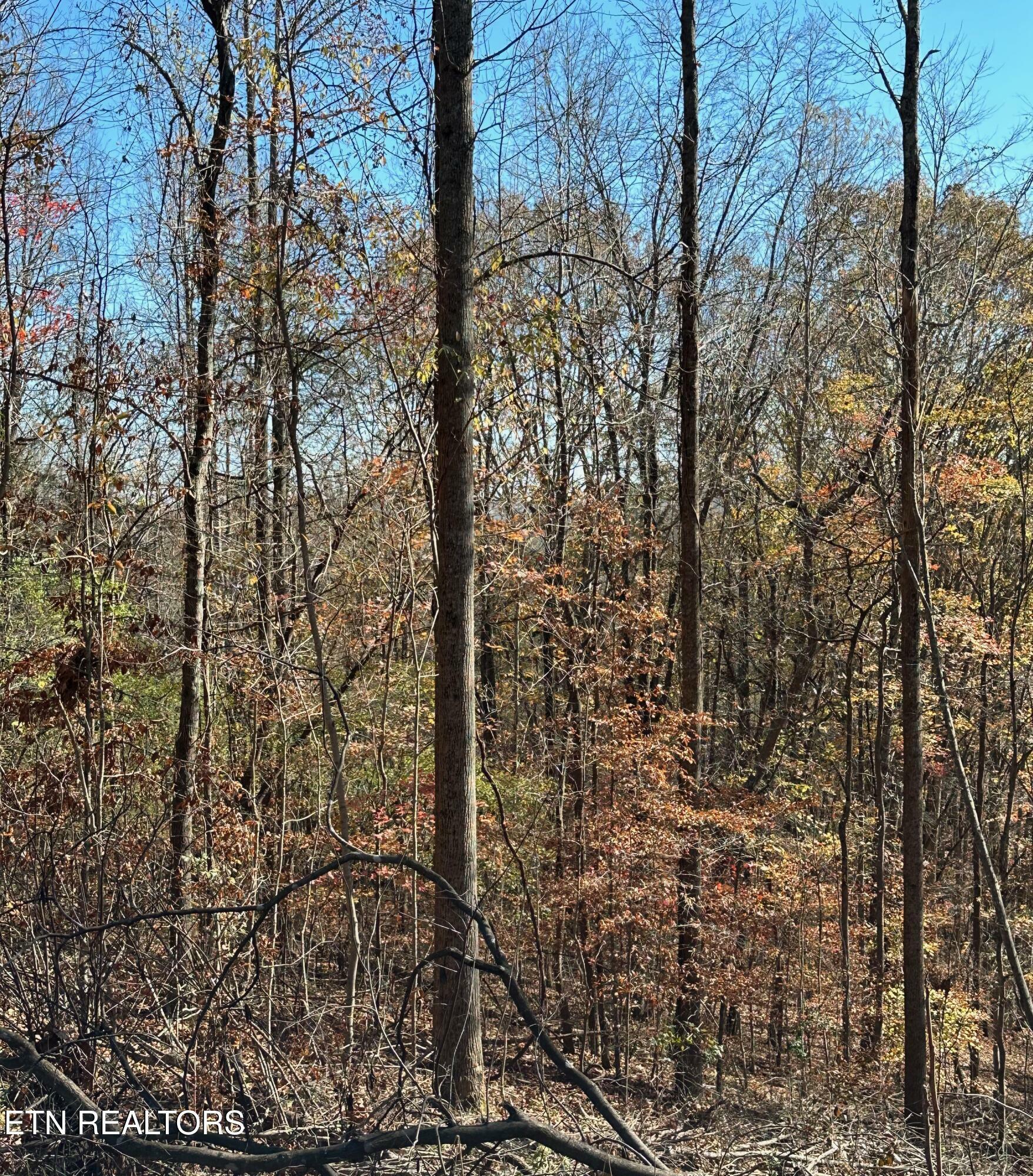 Property Photo:  Landmark Rd  TN 37757 