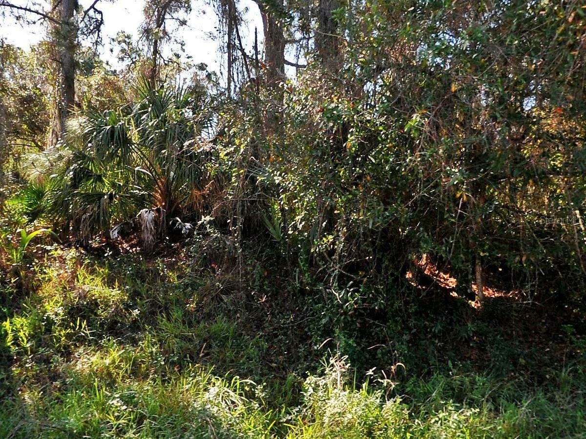 Property Photo:  Brodel Avenue  FL 34286 