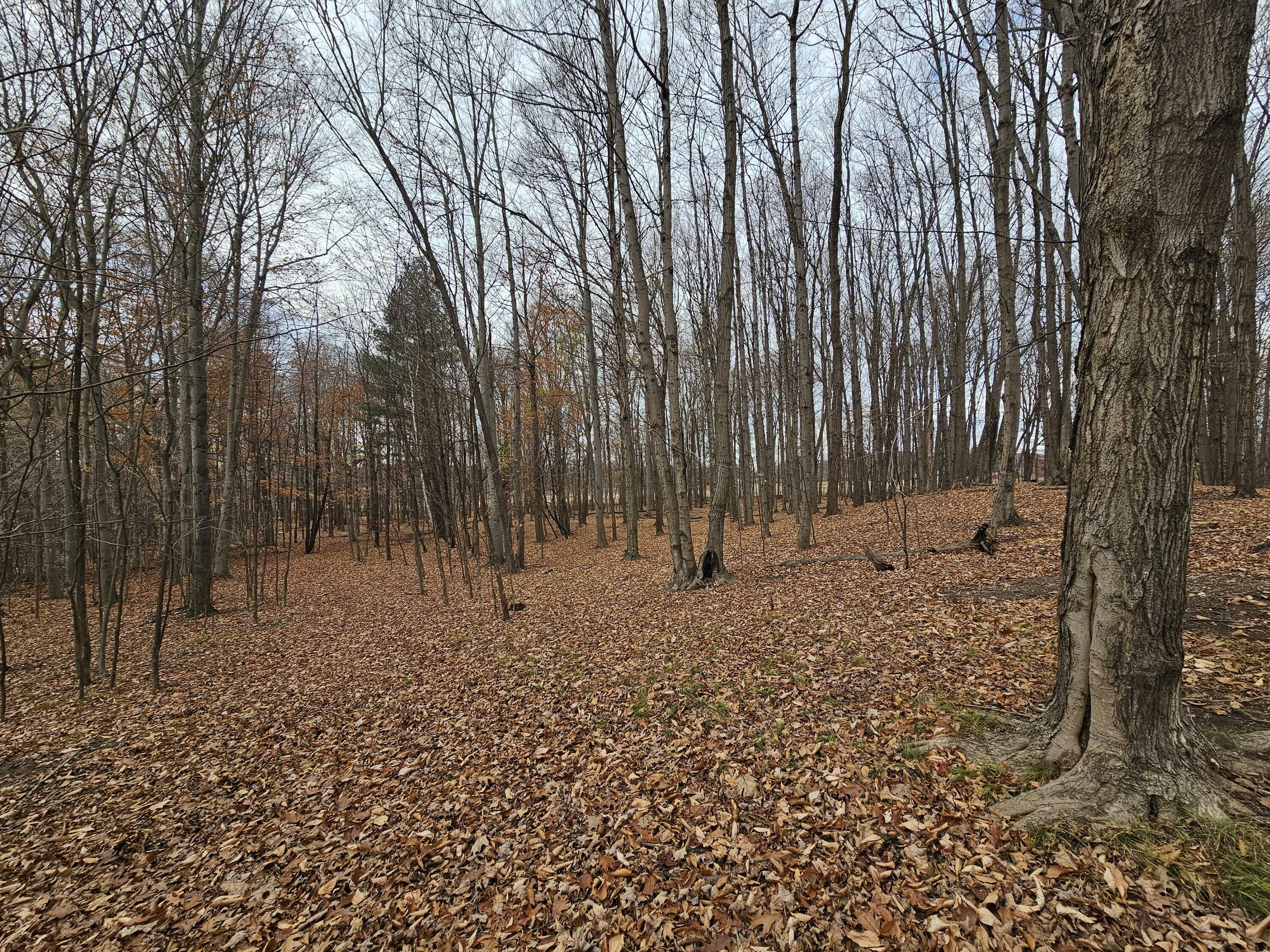 Property Photo:  Waterwheel Road  MI 48886 