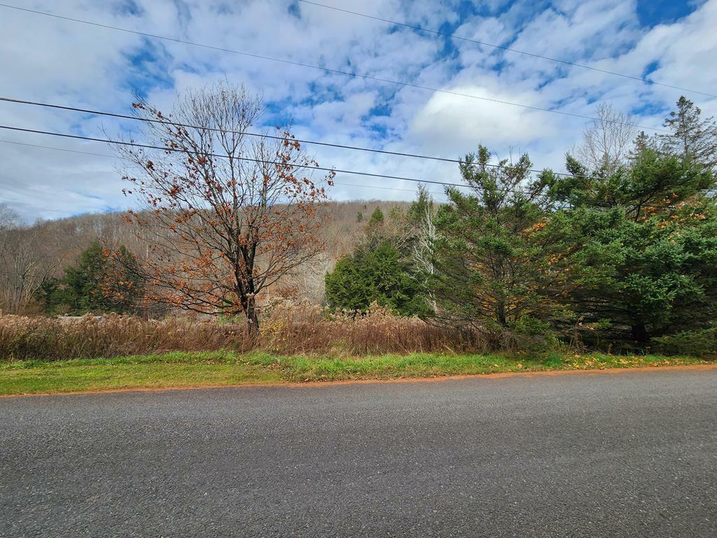 0 Reese Hollow Rd  Coudersport PA 16915 photo