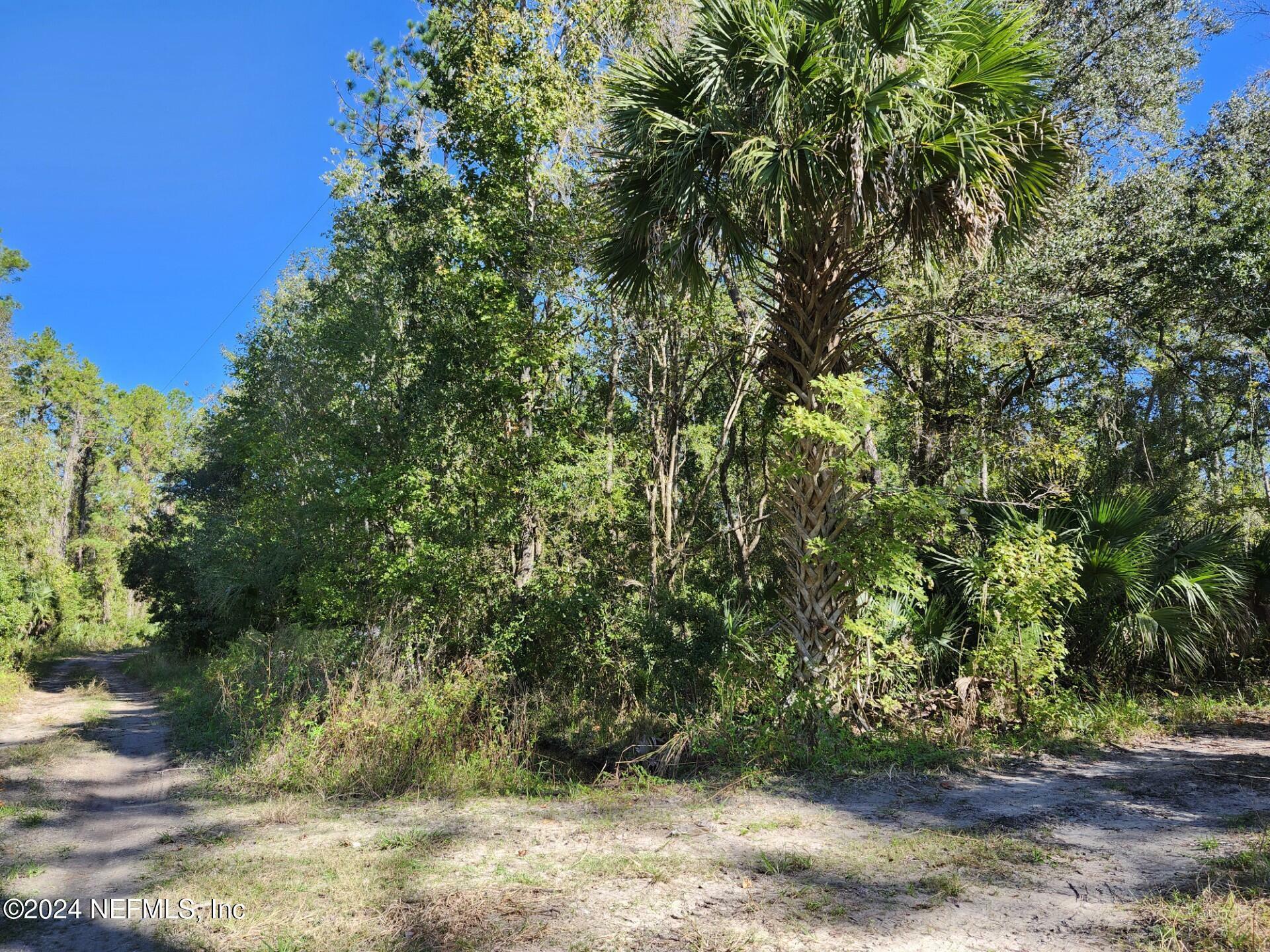 Property Photo:  100 Sumter Road  FL 32189 