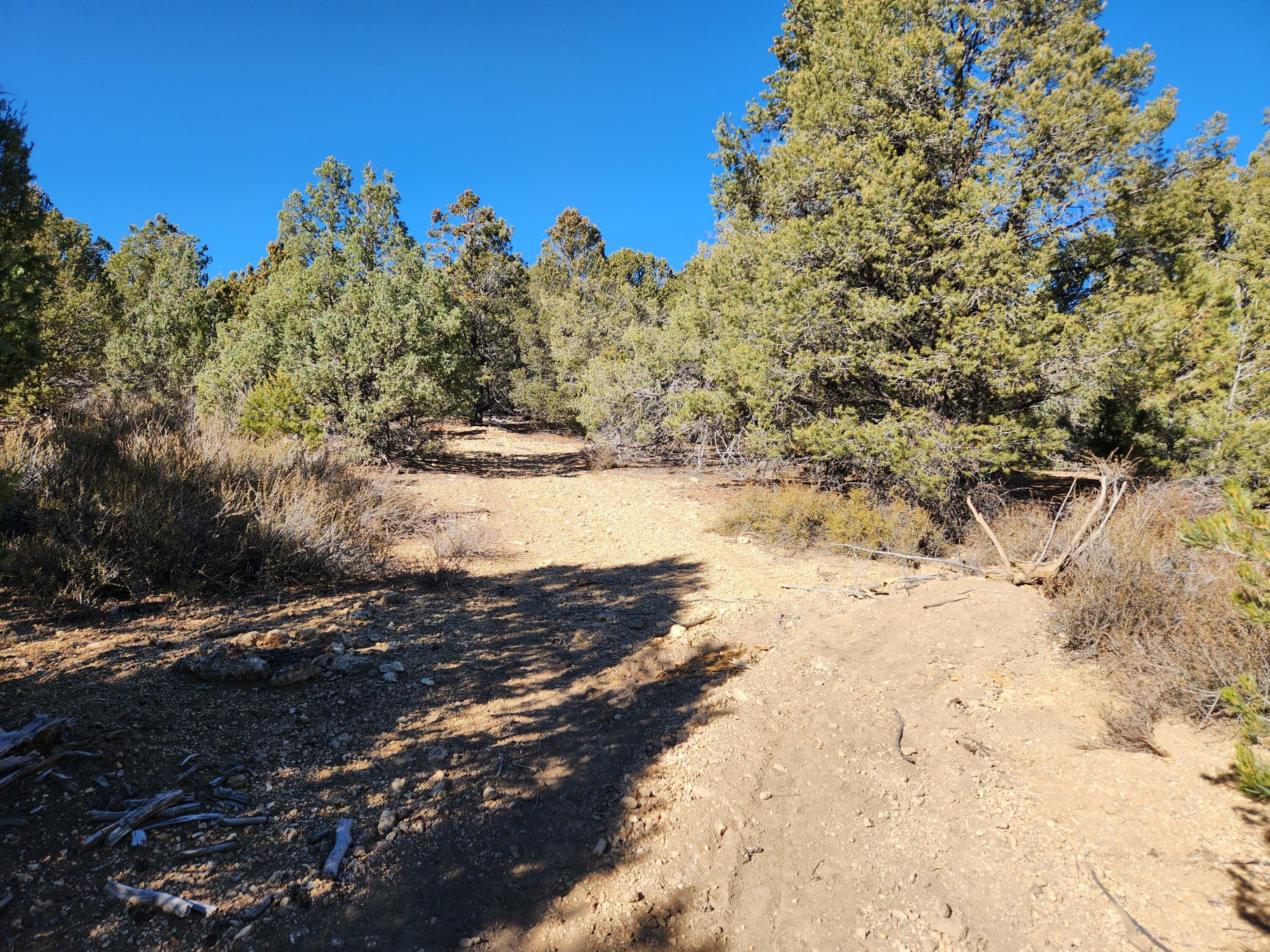 Property Photo:  1765 W Pinyon Hills Rd E  UT 84735 