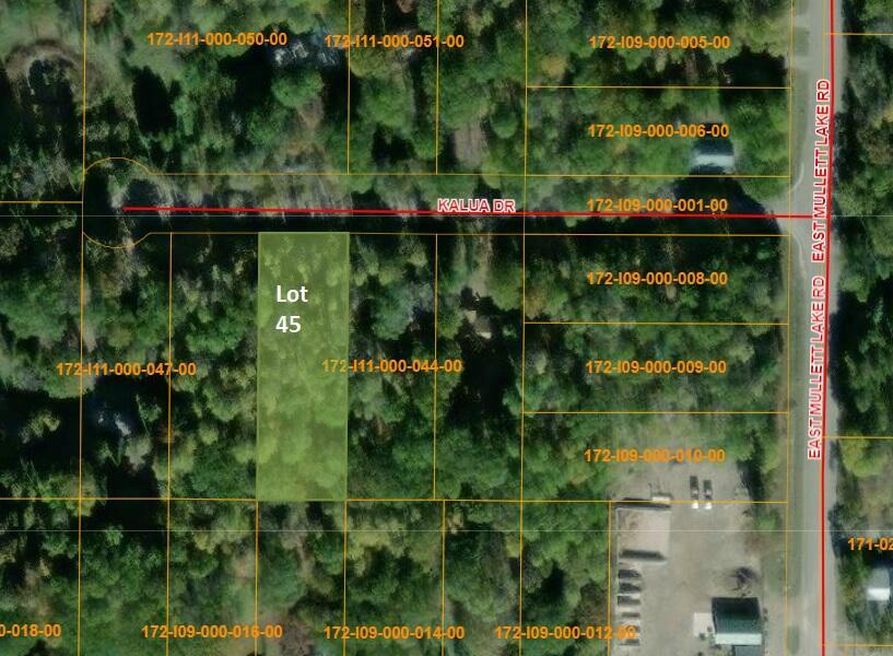 Property Photo:  4593 Kalua Drive Lot 45  MI 49749 