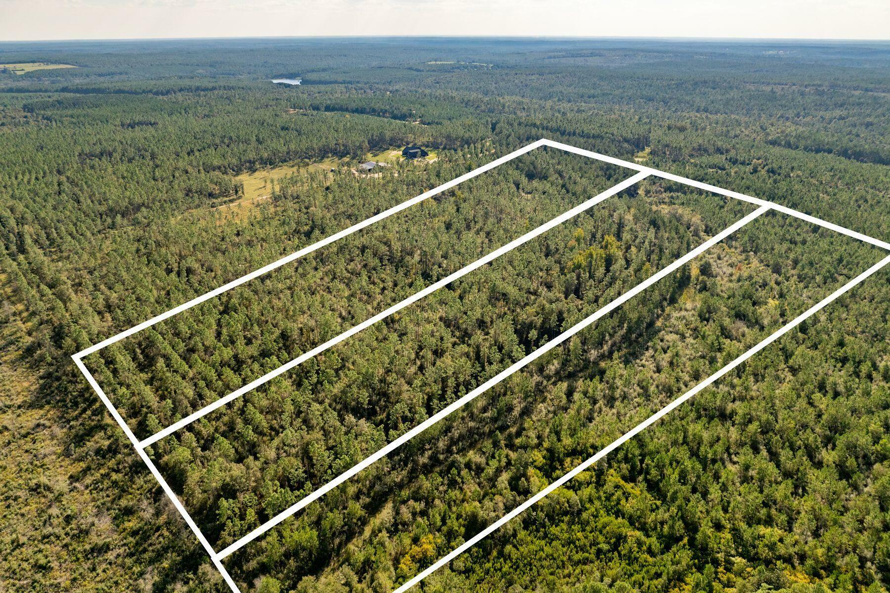 Property Photo:  Tbd Long Road  FL 32433 