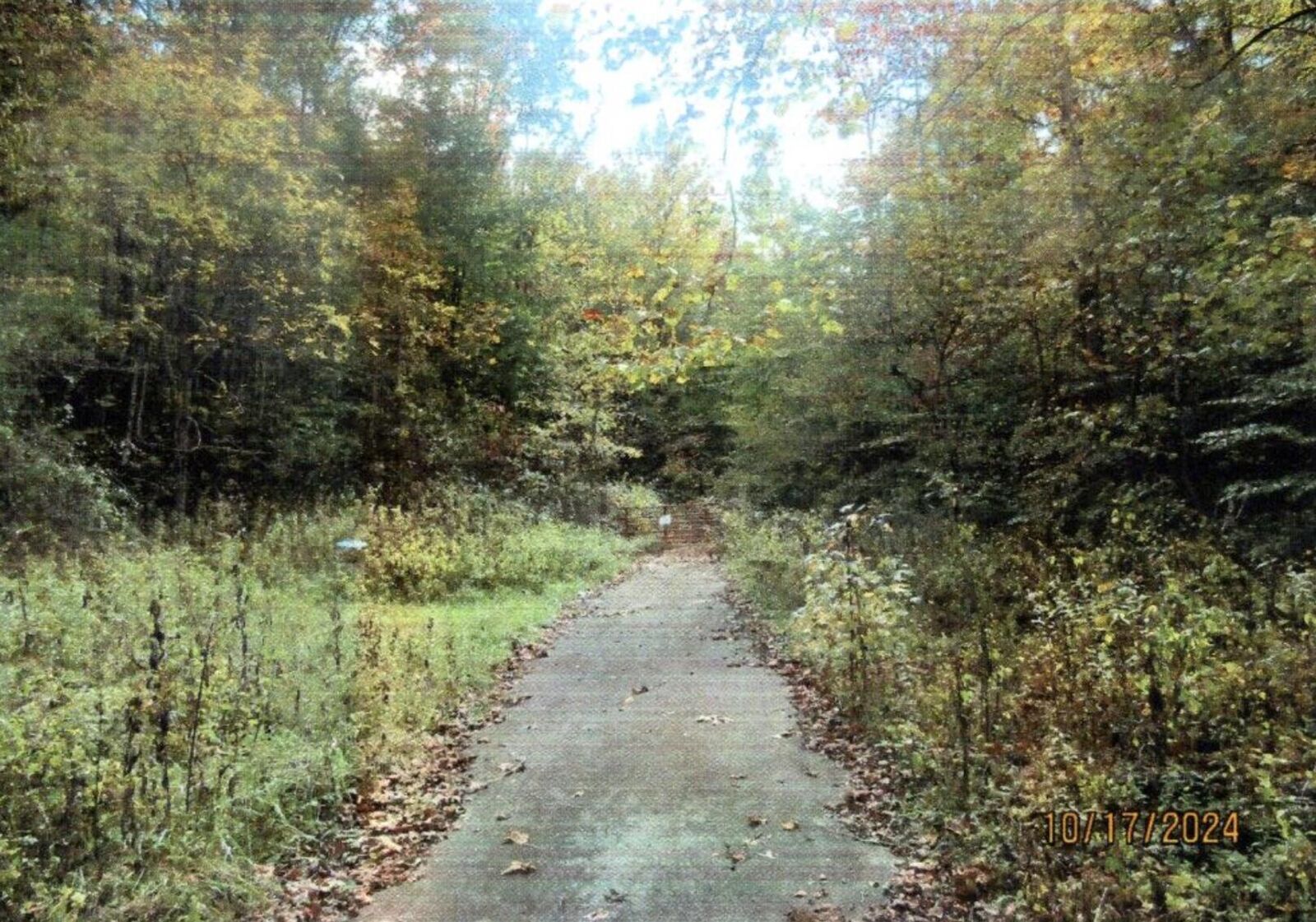 Property Photo: 0 Halls Branch Road KY 40380