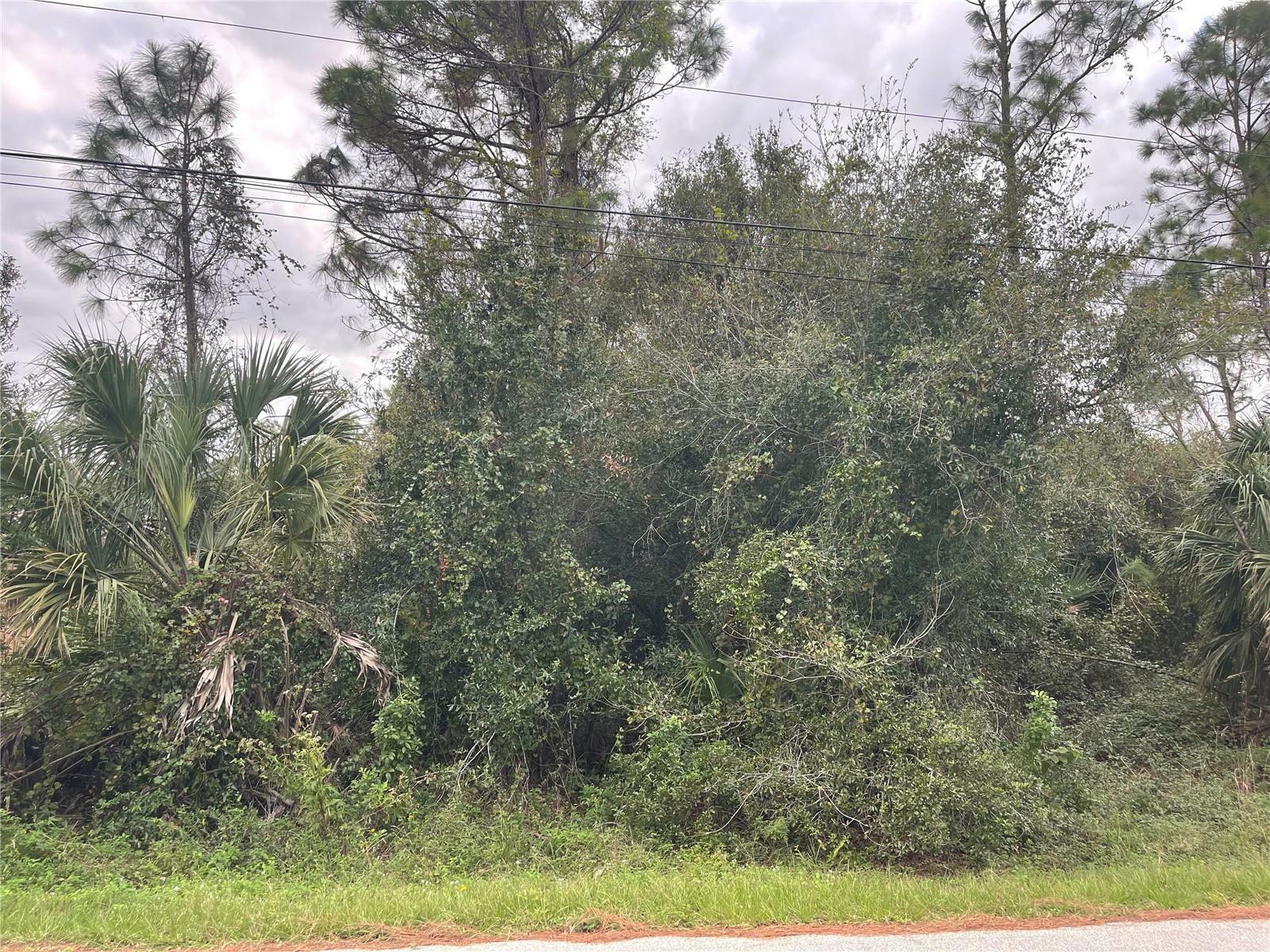 Property Photo:  Sweden Avenue  FL 34288 