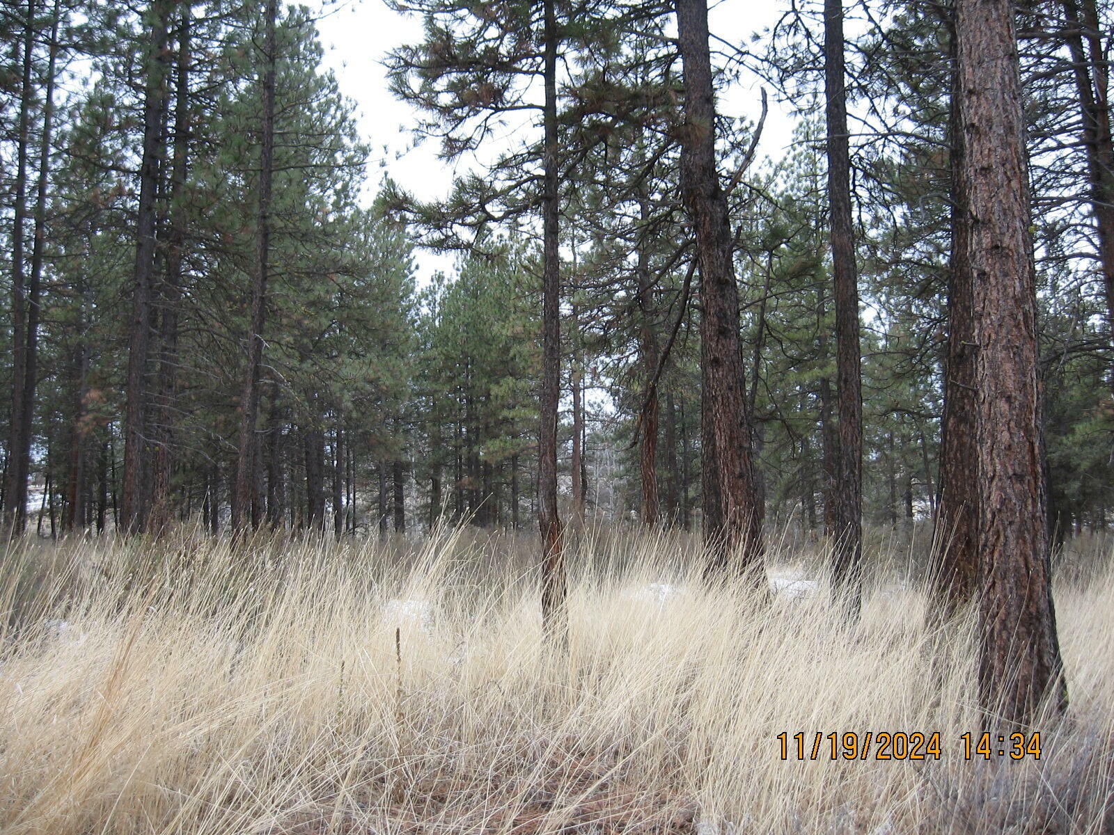 Property Photo:  Lot 22 Brittany Way  OR 97624 