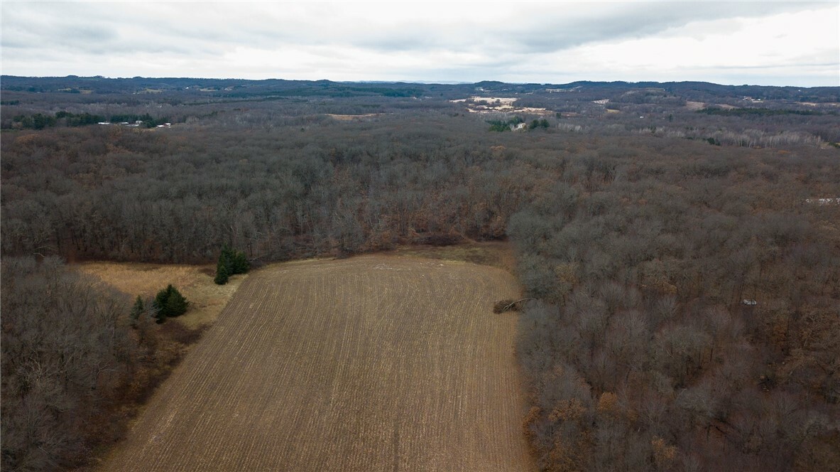 Property Photo:  17 Acres Lowes Creek Road  WI 54738 