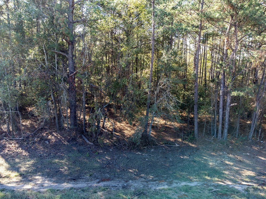 Property Photo:  10988 Albany Highway  GA 39842 