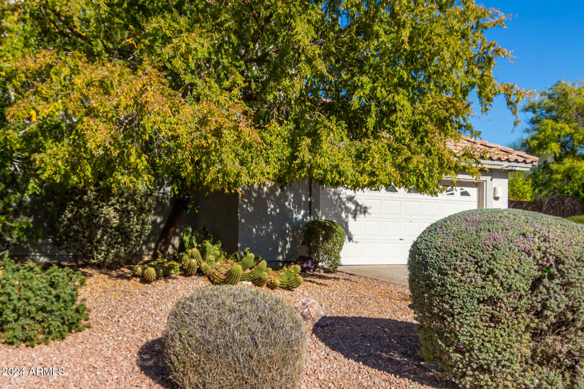 Property Photo: 9382 E Aster Drive AZ 85260
