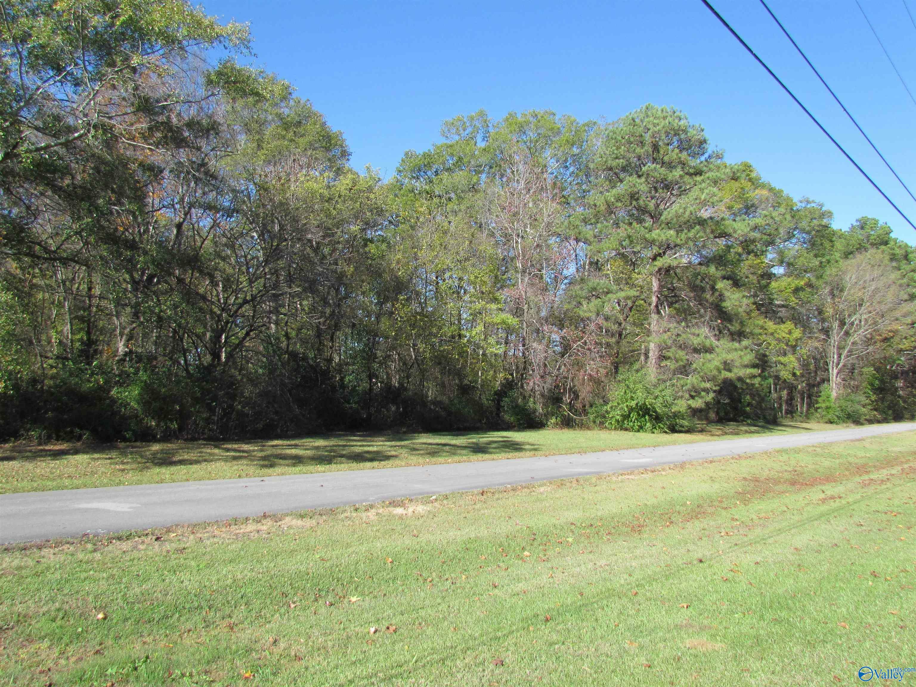 Property Photo:  Lot 14 Tim Avenue  AL 35601 