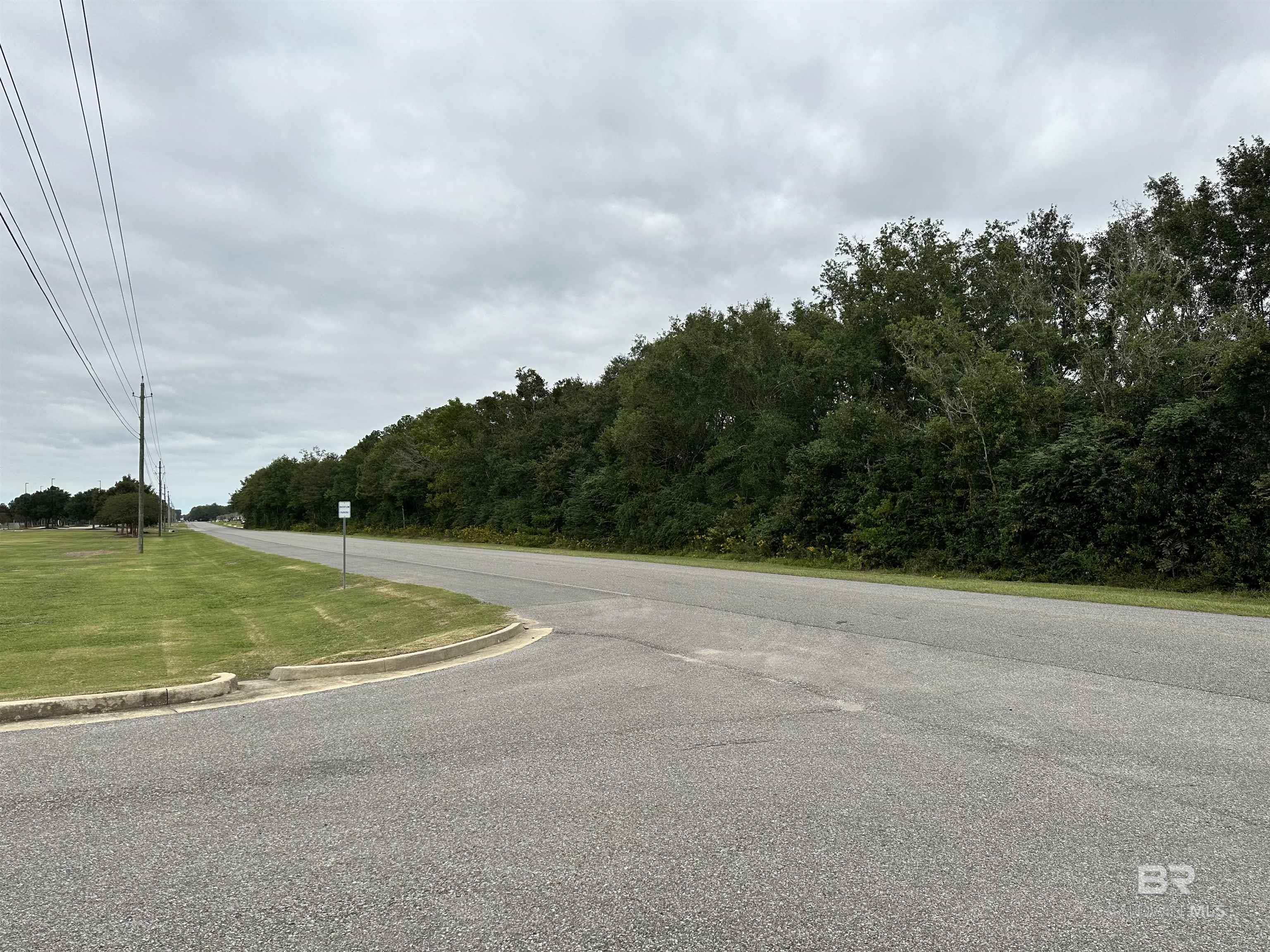 Property Photo: 0 Cater Lee Way AL 36535