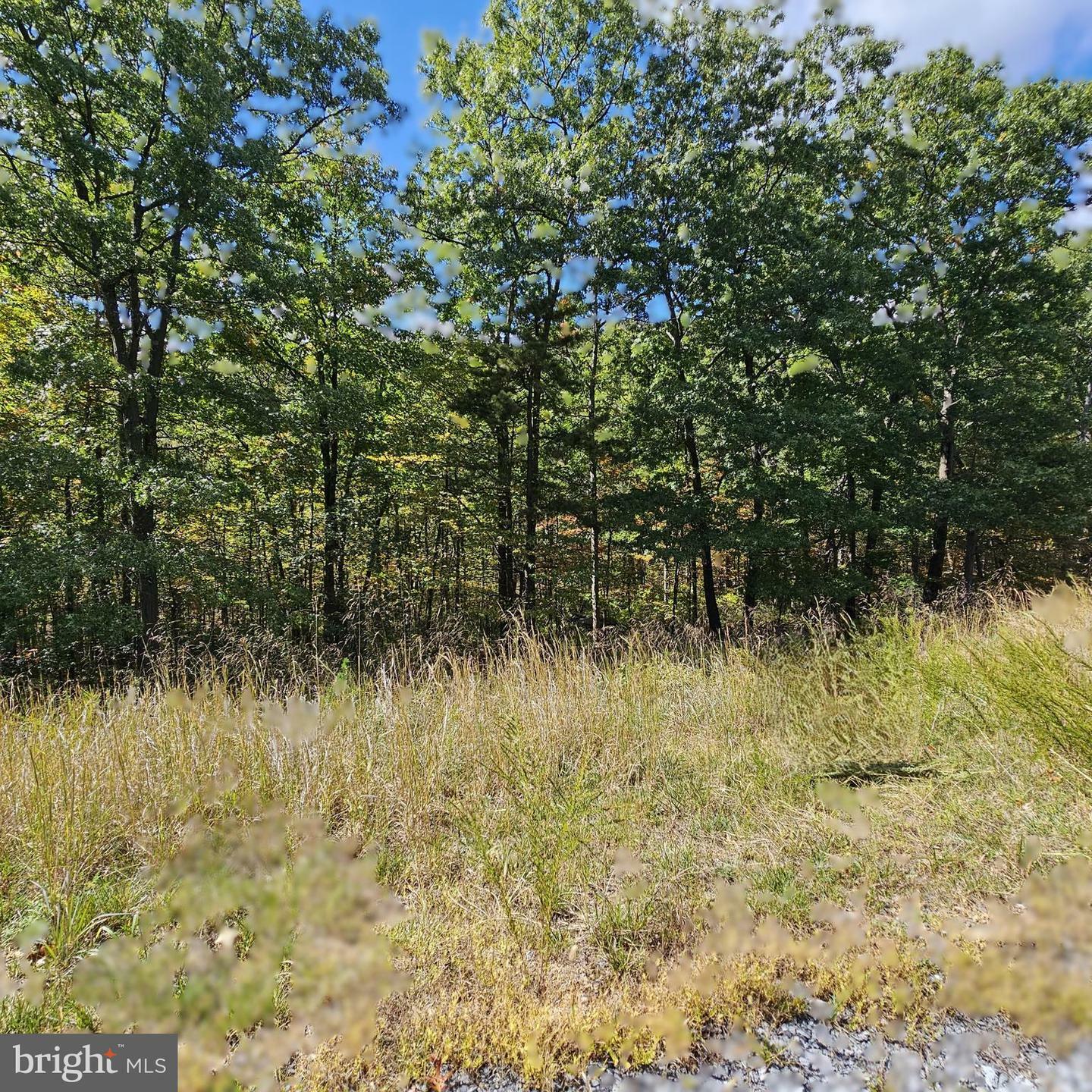 Property Photo:  Moundbuilder Loop  WV 25427 