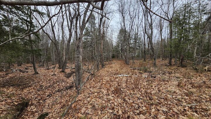 Property Photo:  Lot 1C Medway Road Route 157 Road  ME 04459 