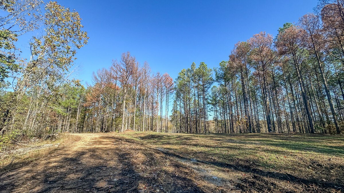 Property Photo: 0 Timber Twist Lane TN 37175