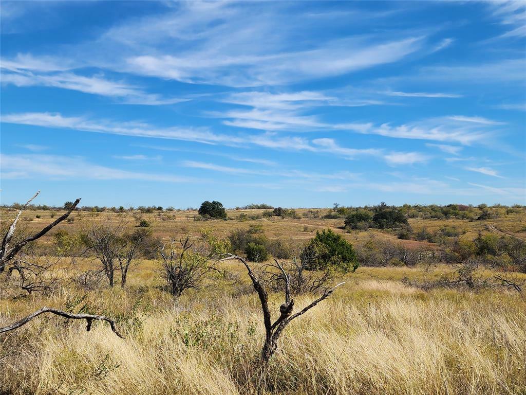 Property Photo:  Tbd County Road 238  TX 76442 