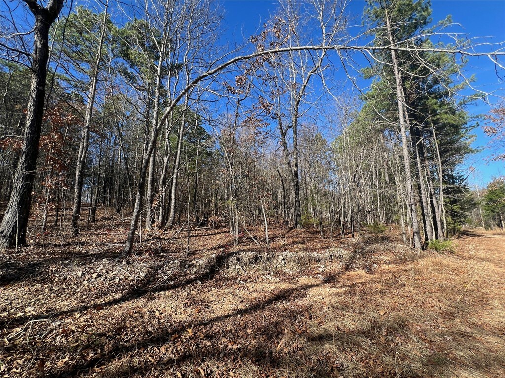 Property Photo:  Lot 1 Tbd Nc 3015  AR 72641 