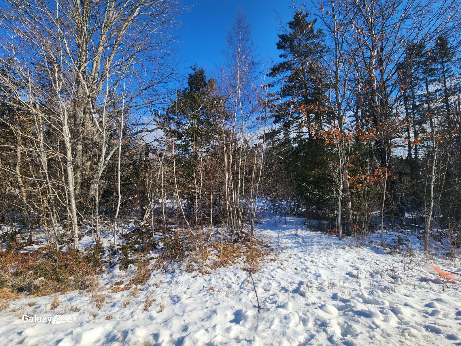 Property Photo:  M12l0801 Simpson Corner Road  ME 04932 