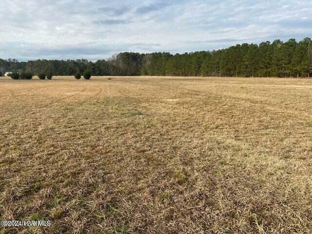 Property Photo: 0 Perry Road NC 27837