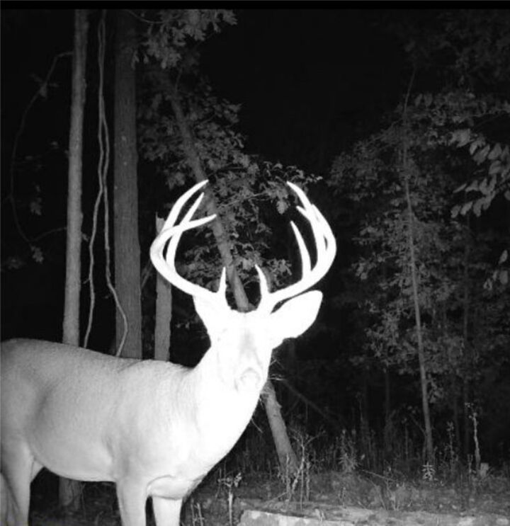 Property Photo: 1 Madison 8735 AR 72740