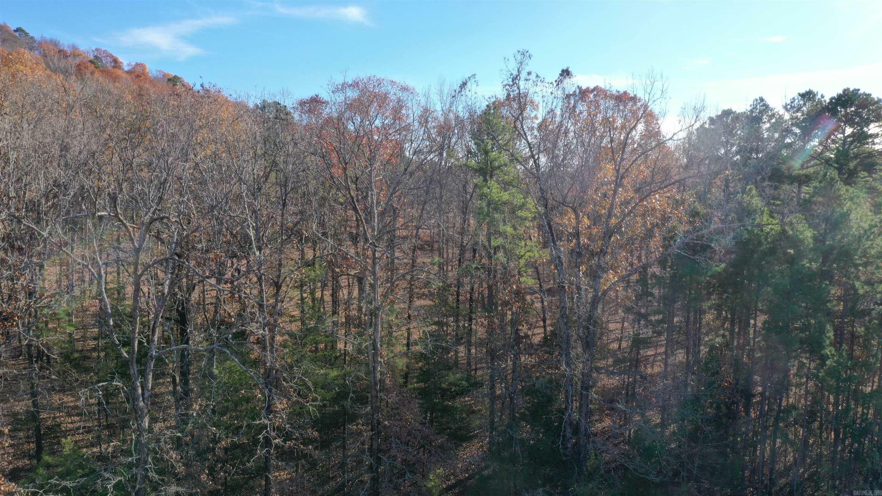 Property Photo:  Lot 4 Old Military Rd.  AR 72034 