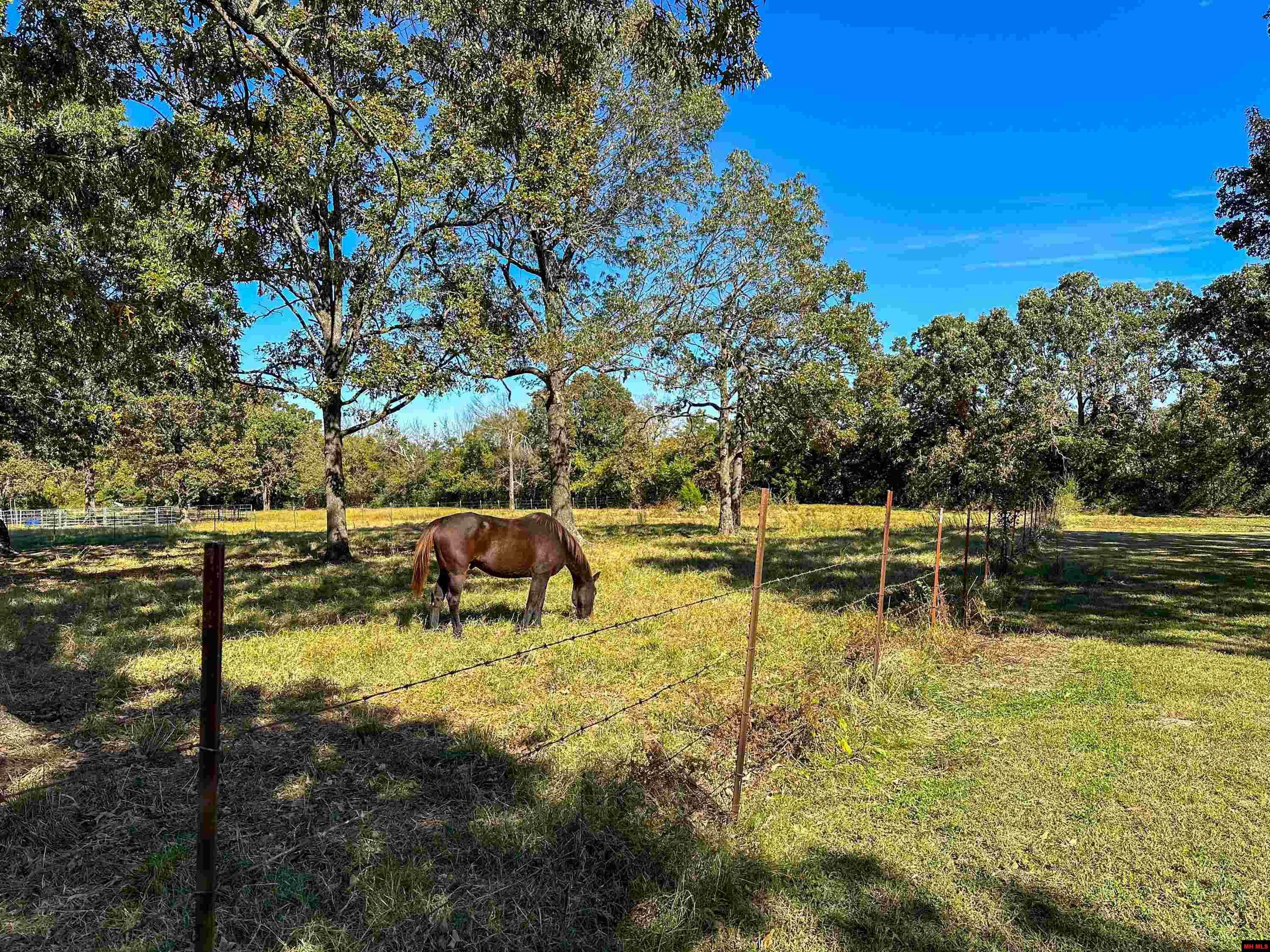 Property Photo:  5872 Old Military Road  AR 72653 