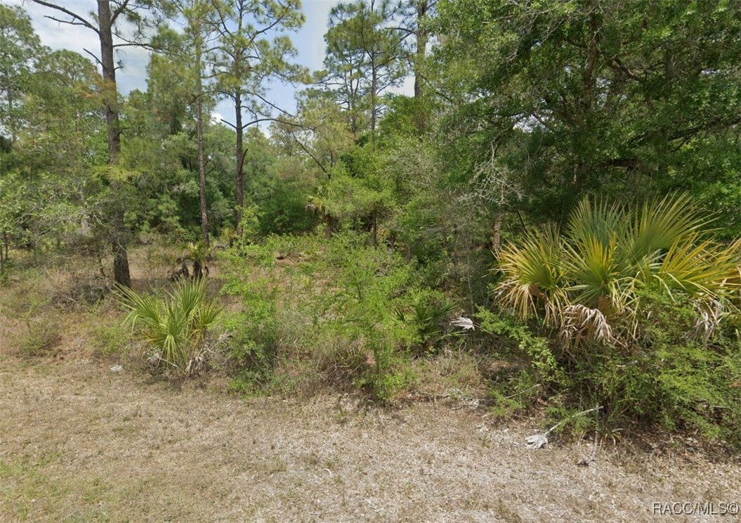 Property Photo:  11787 W Flaxen Drive  FL 34428 