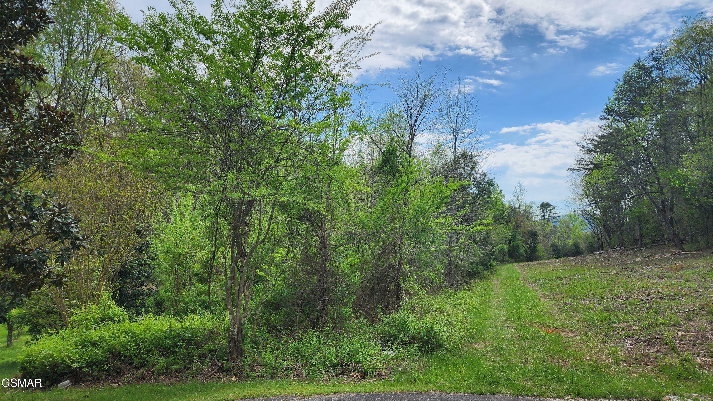 Property Photo:  Lot 36 English Fields Dr,  TN 37821 