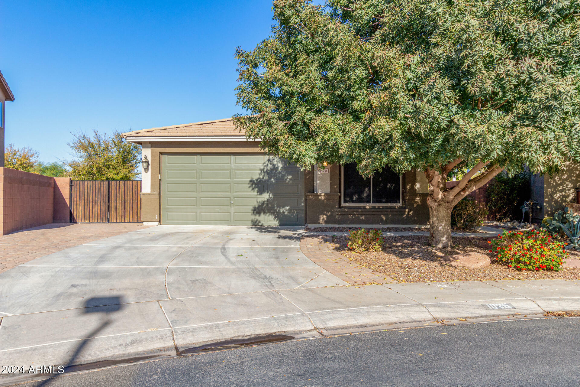 Property Photo:  1026 W Dove Tree Avenue  AZ 85140 