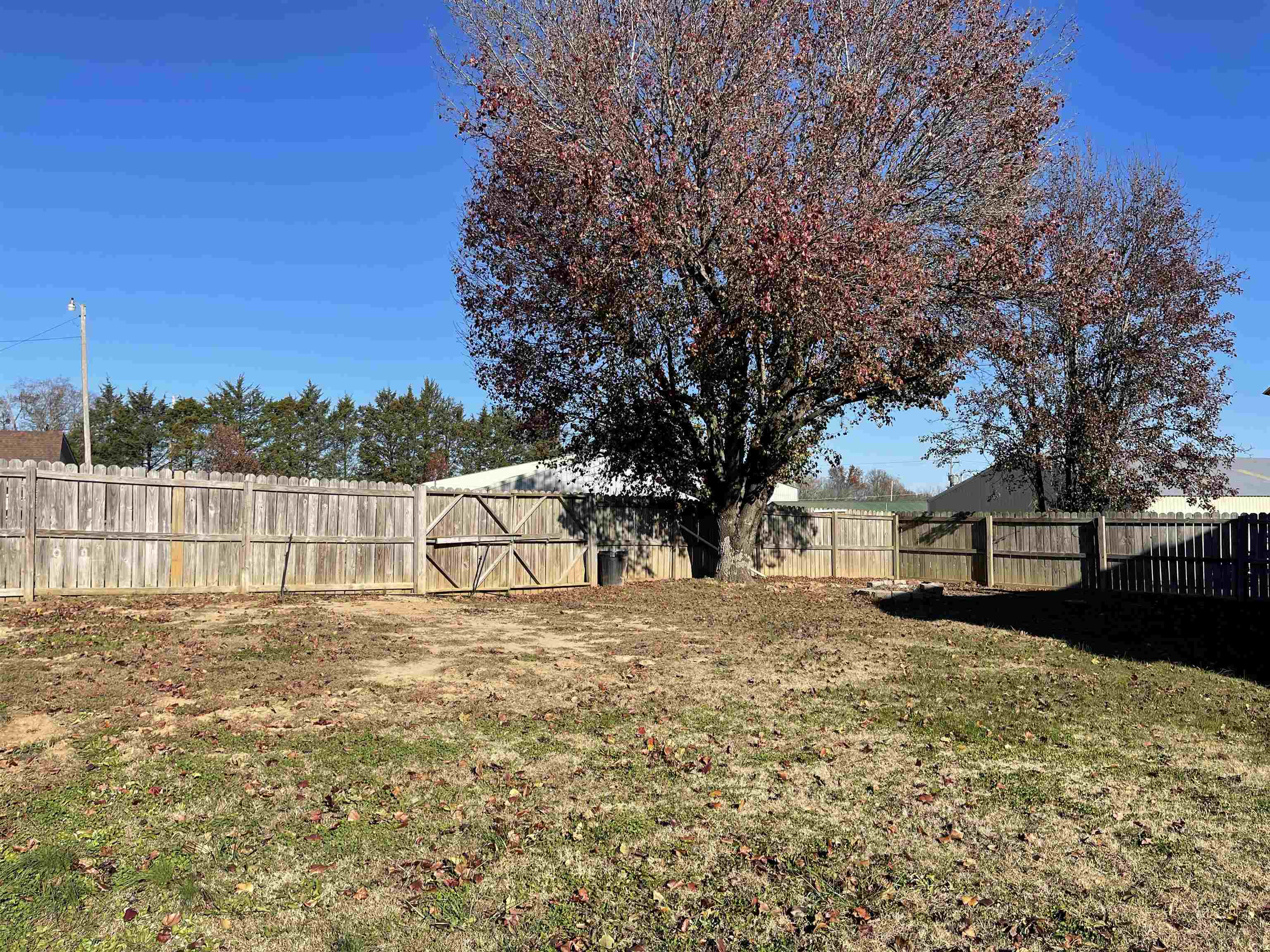 Property Photo:  201 Lynn Lane  AR 72434 