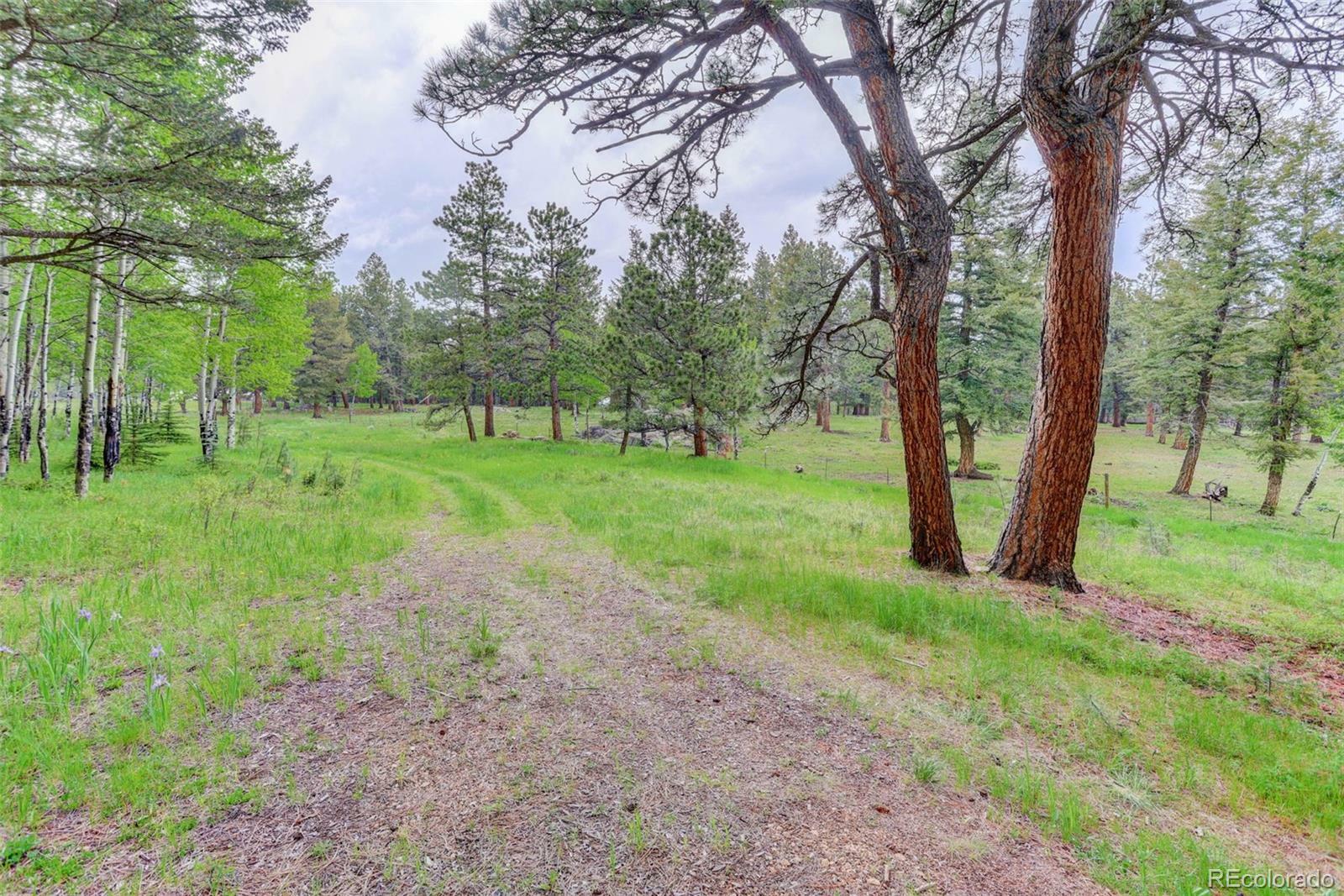 Property Photo: 0000 S Elk Ridge CO 80439