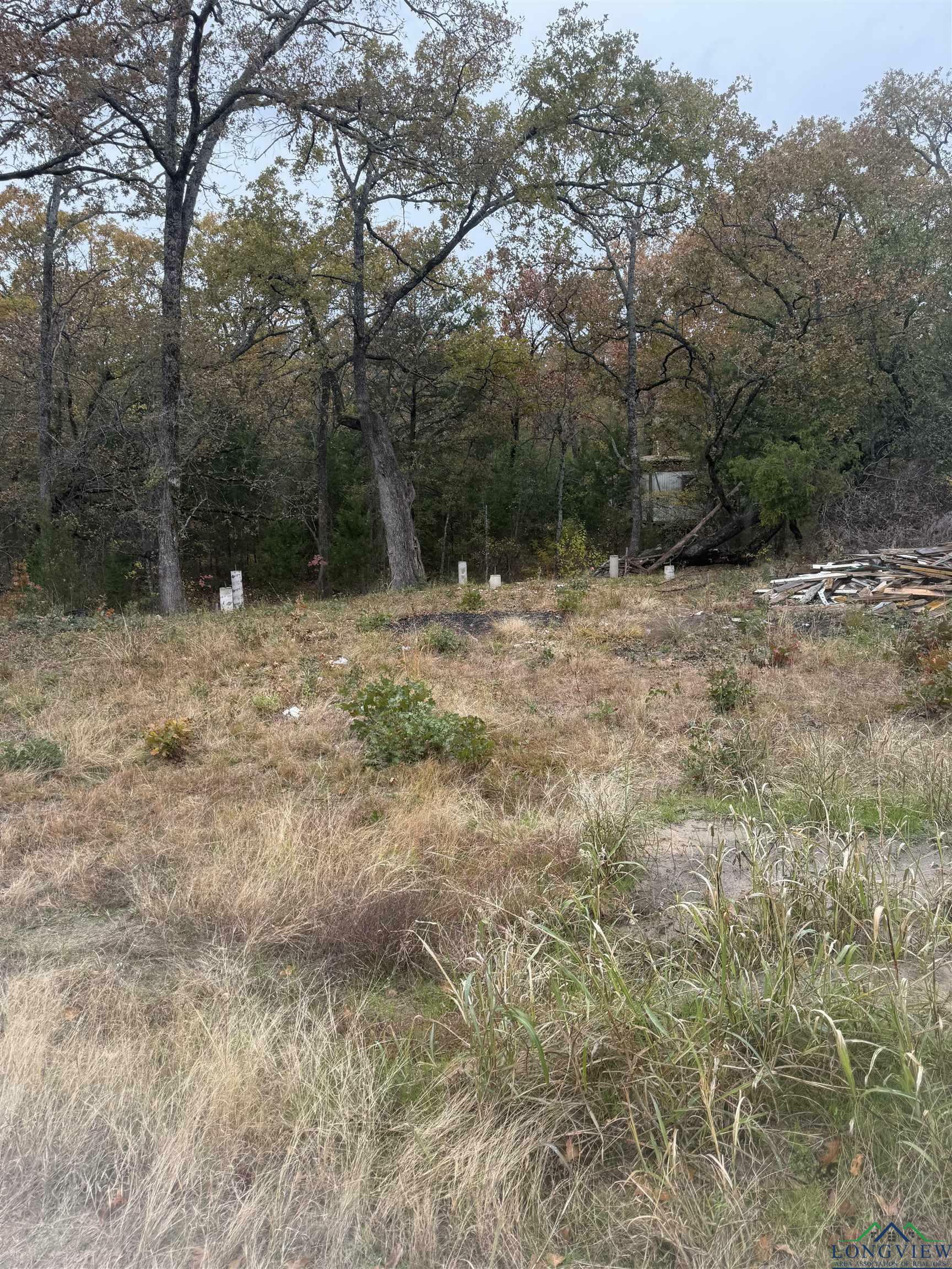 Property Photo:  Tbd Running Deer Rd  TX 75156 