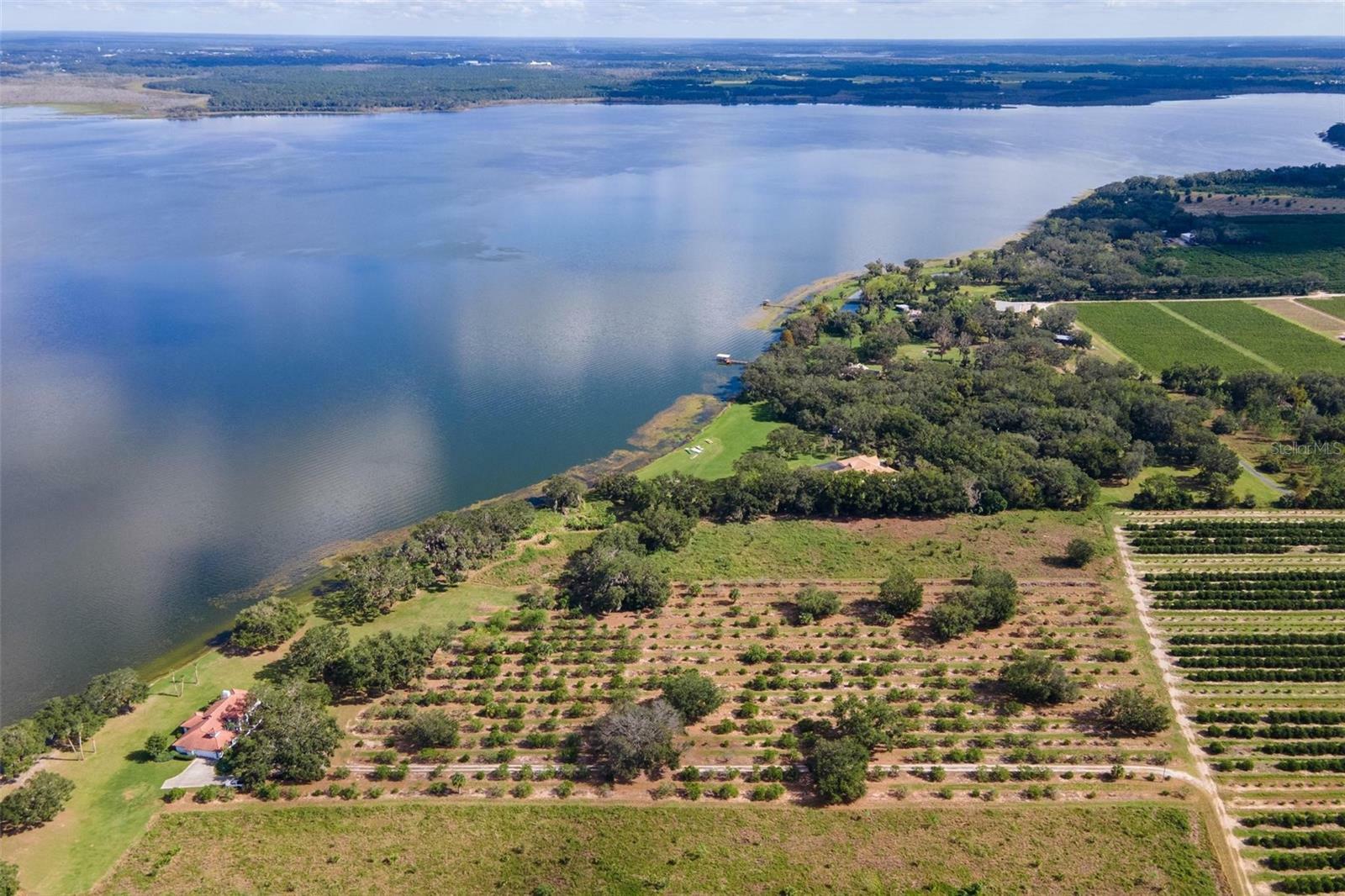 Property Photo: 38230 Yale Circle FL 34788