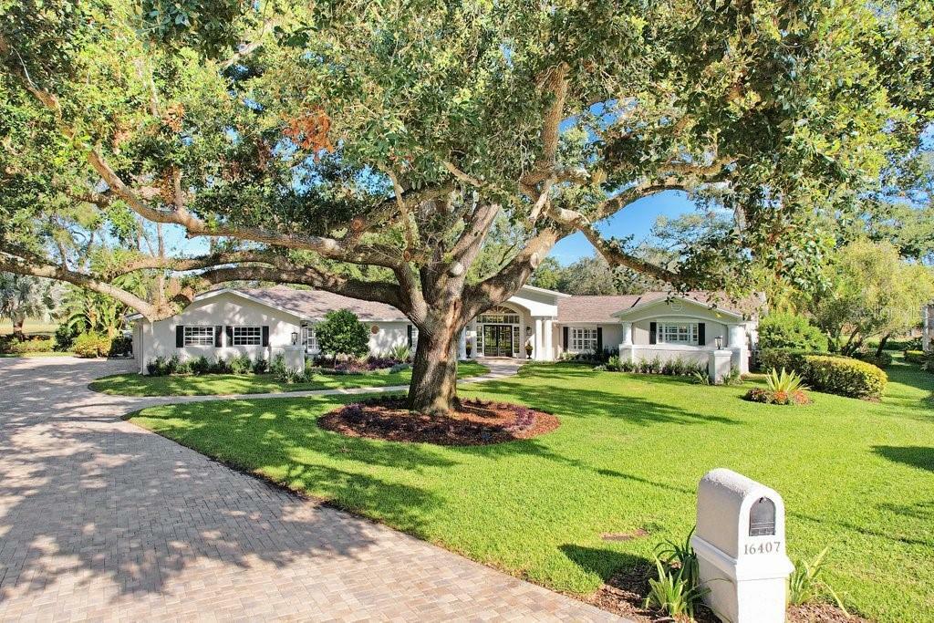 16407 Zurraquin De Avila  Tampa FL 33613 photo