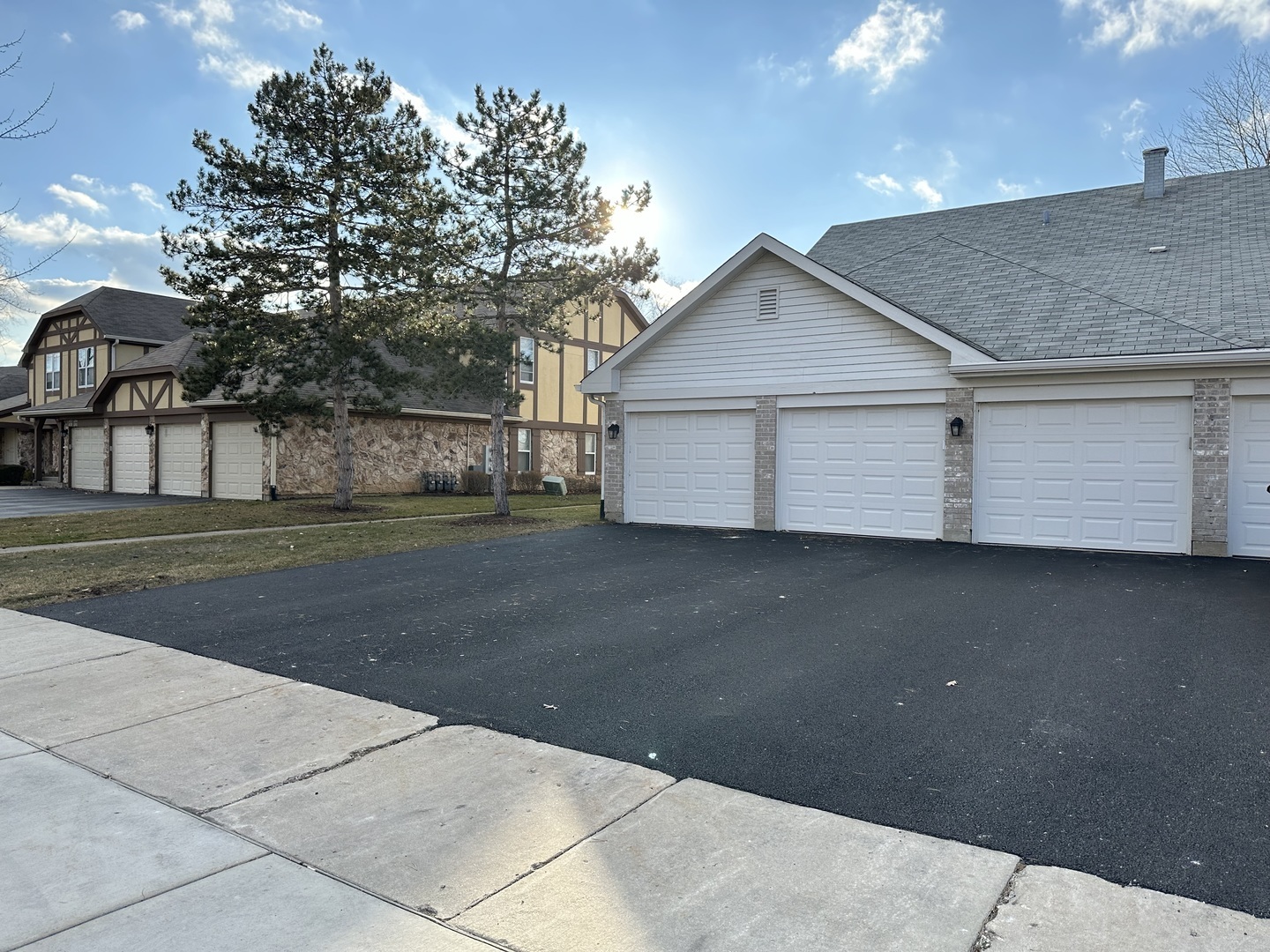 Property Photo:  1250 N Streamwood Lane 338  IL 60061 